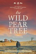 The Wild Pear Tree (2018) - IMDb