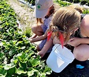 Towers Farms in Palatka, Florida - Kid-friendly Attractions | Trekaroo