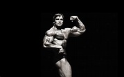 Arnold Bodybuilding Wallpapers - Top Free Arnold Bodybuilding ...