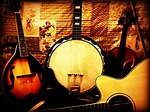 Bluegrass Instruments | Roots music, Bluegrass music, Bluegrass