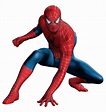 Spider-Man Suit | Sam Raimi's Spider-Man Wiki | Fandom