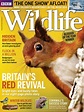 英国《BBC Wildlife》野生动物杂志PDF电子版【2018年合集12期】 | 以画美学杂志