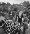 Immagini storiche della Guerra Sino-Indiana del 1962 - CinaOggi
