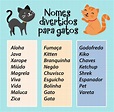 Principais nomes de gatos e gatas | Nomes de gatos, Nomes de animais ...