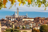 Catedral de Siena: entradas y visitas guiadas al Duomo de Siena | musement