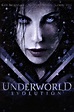 Underworld: Evolution (2006) - Poster — The Movie Database (TMDB)
