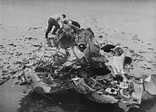 De Havilland Swallow Disaster - Cliffe History
