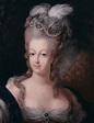 Marie Antoinette Syndrome -- or why some people's hair can turn white ...