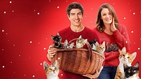 The Nine Kittens of Christmas (2021) - Titlovi.com