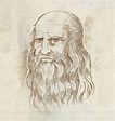 Hand drawn portrait. Leonardo Da Vinci Drawing by Domenico Condello