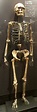 10 Oldest Human Skeletons in the World | Oldest.org