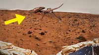 Wer lebt auf dem Mars? Erste Echte Bilder! - YouTube