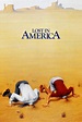 Películas parecidas a Perdidos en América | Mejores recomendaciones