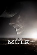The Mule (2018) — The Movie Database (TMDB)