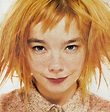 I ran into Björk in Iceland – GRUMO