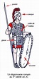 Légionnaire romain - Vikidia, l’encyclopédie des 8-13 ans