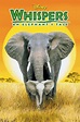 Whispers: An Elephant's Tale | Disney Wiki | Fandom