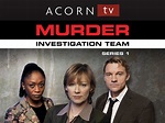 Prime Video: Murder Investigation Team Season 1