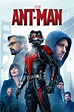 Ant-Man (2015) - Posters — The Movie Database (TMDB)