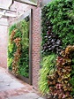 Vertical Garden Wall