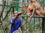 DONATE TO RESCUE MONKEYS FROM CRUELTY - PASA