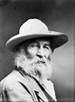 File:Walt Whitman cph.3b29434.jpg - Wikimedia Commons