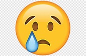 Sad Smiley Emoticon