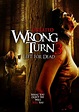 Wrong Turn 3: Left for Dead (Video 2009) - IMDb