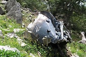 Crash de deux avions Grumman TBM-3W Avenger dans la montagne Corse le ...