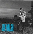 Joe Walsh - Ordinary Average Guy (1991, CD) | Discogs