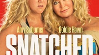 Nuevo póster y tráiler de Snatched comedia con Schumer y Hawn - My CMS
