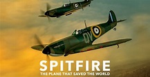 Spitfire - película: Ver online completas en español