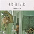 Mystery Jets: SEROTONIN Review - MusicCritic