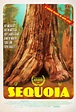 Sequoia Movie Poster - IMP Awards