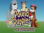 Amazon.de: Pound Puppies - Der Pfotenclub - Staffel 5 ansehen | Prime Video