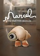 Marcel the Shell With Shoes On | Blu-ray | Free shipping over £20 | HMV ...
