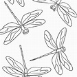 Desenhos de libélulas-vermelhas para imprimir e colorir