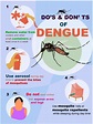 Dengue Fever | National Health Portal Of India