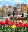 Amsterdam Tours-Fun Facts about Amsterdam & Netherlands - Nordic Experience