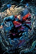 Image - Superman Prime Earth 0017.jpg - DC Comics Database