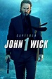 Ver John Wick (Otro día para matar) 2014 Online HD - PelisplusHD