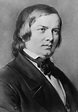 Robert Schumann (June 8, 1810 — July 29, 1856), composer, music critic ...
