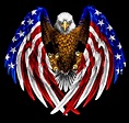 Patriotic Bald Eagle Wallpapers - Top Free Patriotic Bald Eagle ...