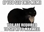 maxwell the cat - Imgflip