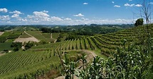Isola d'Asti: Piedmont Wine Tasting Walking Tour | GetYourGuide