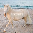 Beeches - Famous Friends Lyrics and Tracklist | Genius
