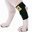 AGON Dog Canine Rear Hock Joint Brace Compression Wrap with Straps Dog ...