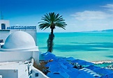 A World Travel Guide to Tunisia - What to See, Where to Go and What to ...