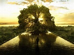 The Tree of Life: Meaning and Symbolism - Mythologian.Net