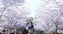 【跟著電影去賞櫻】盤點日本純愛電影裡的5大經典櫻花場景 | 日本 | 東京・關東 | 旅行酒吧
